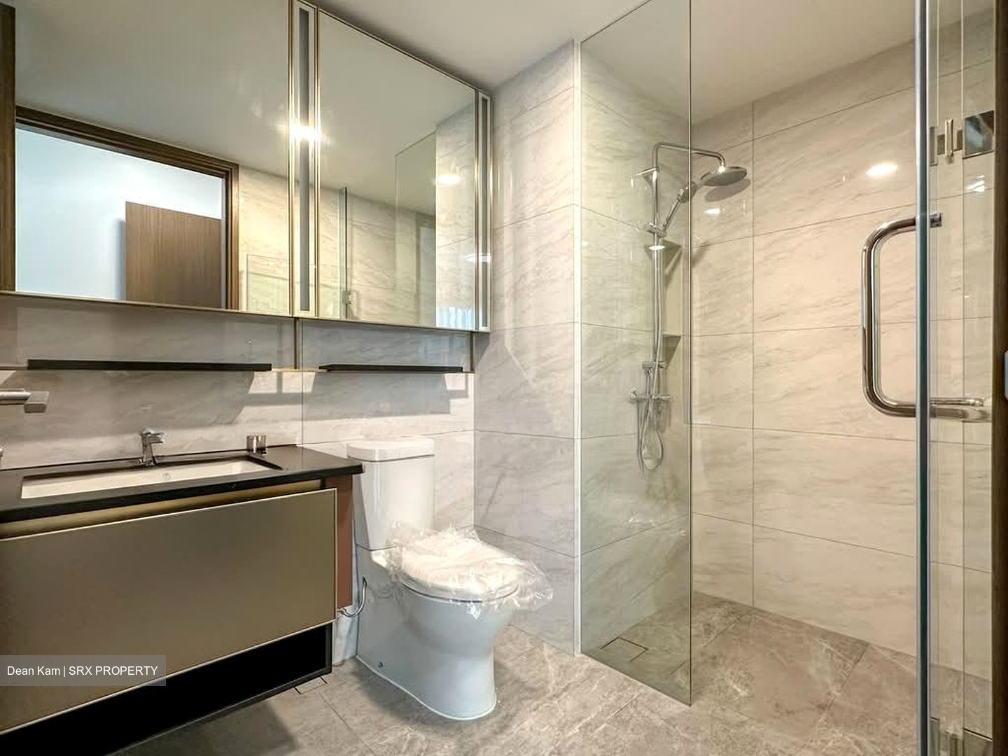 Normanton Park (D5), Apartment #577436301